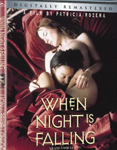 ҹĻ����ǰ/Before Night Falls