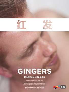 �췢/Gingers ��ƪ