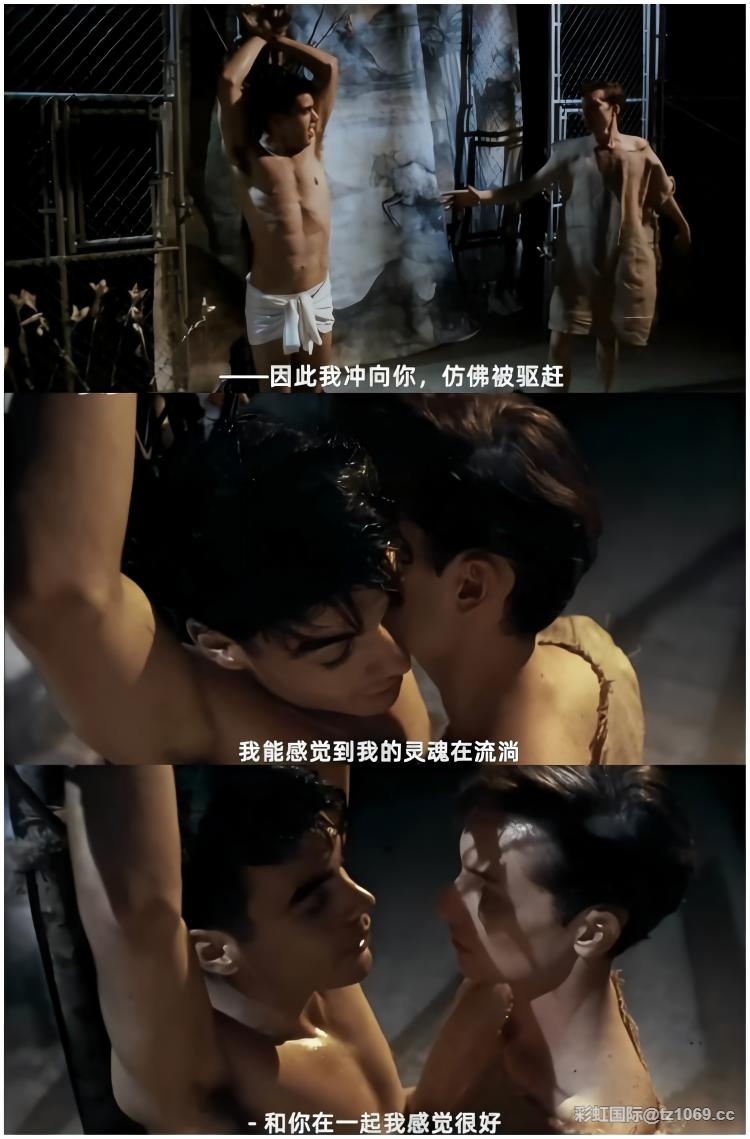 彩虹国际同志影视