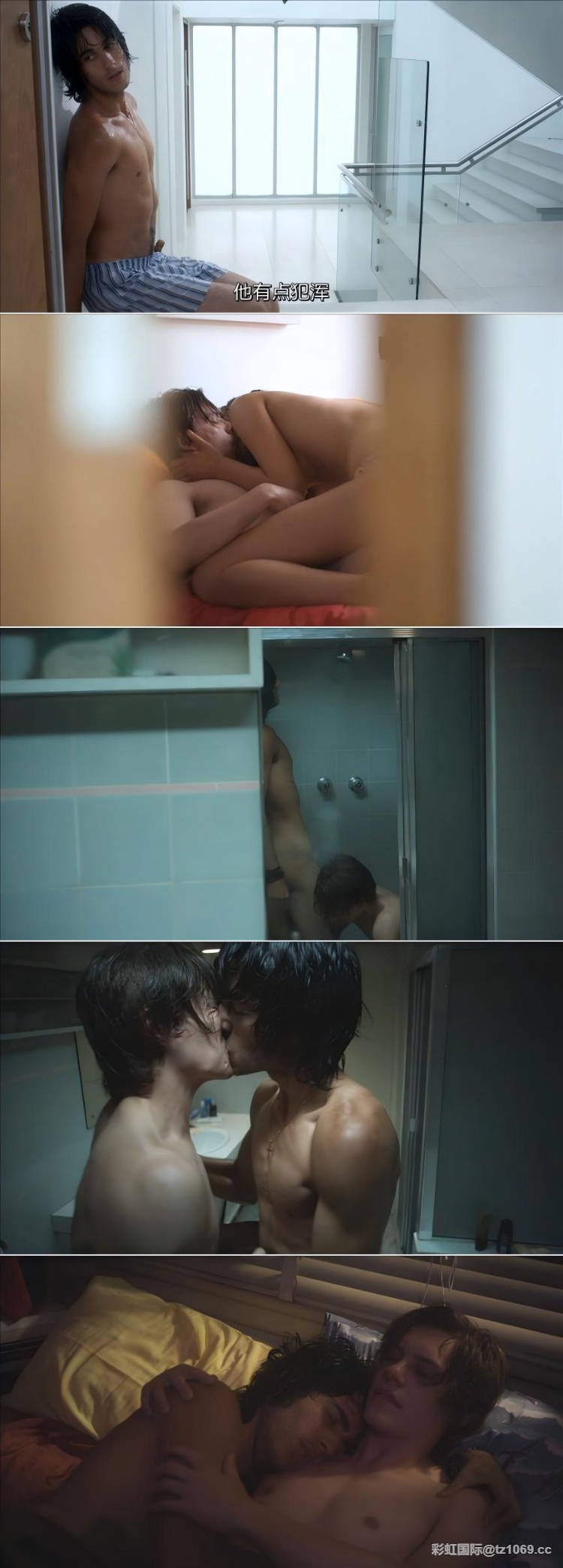 彩虹国际同志影视